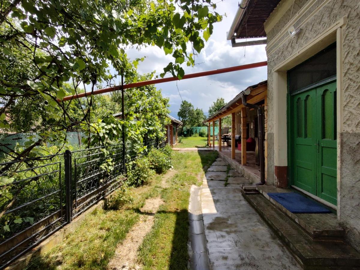 La Tataia Zahei Hotel Dragus Kültér fotó