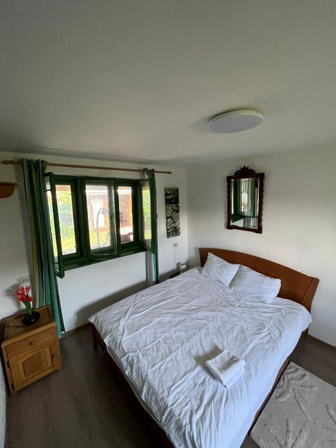 La Tataia Zahei Hotel Dragus Kültér fotó