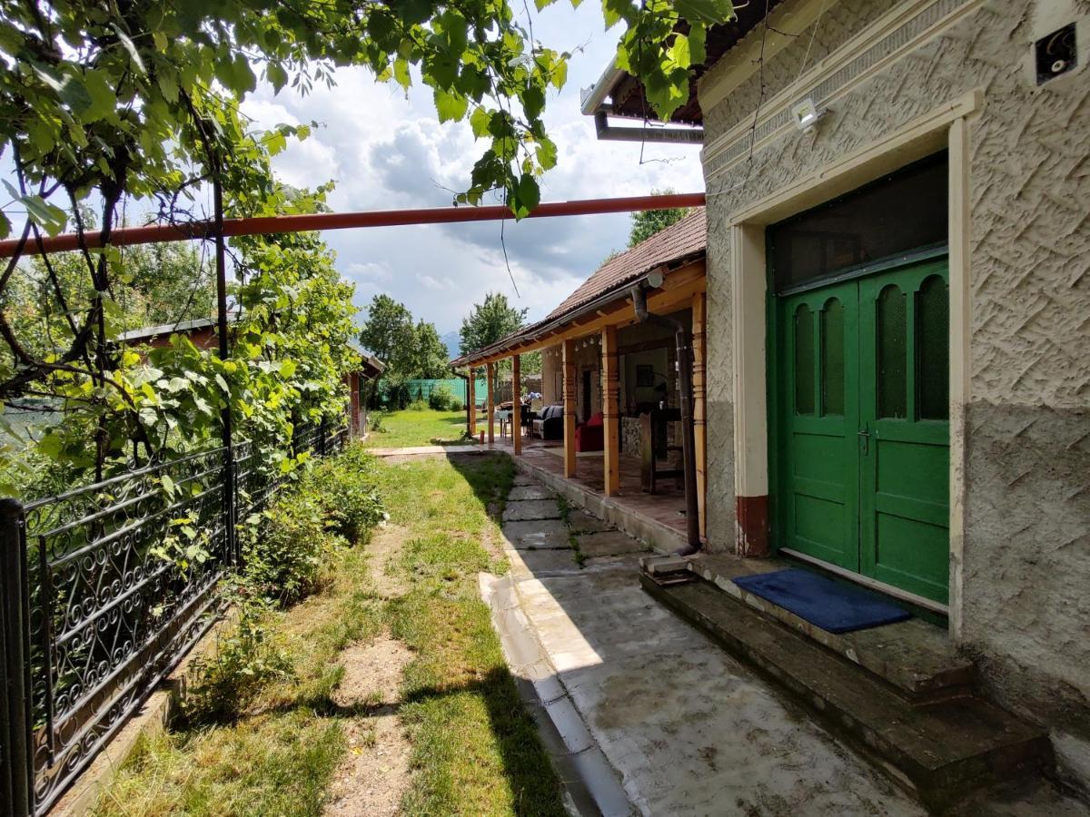 La Tataia Zahei Hotel Dragus Kültér fotó