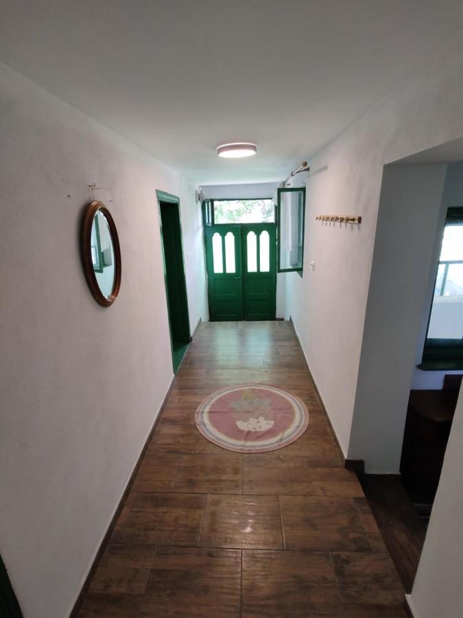 La Tataia Zahei Hotel Dragus Kültér fotó