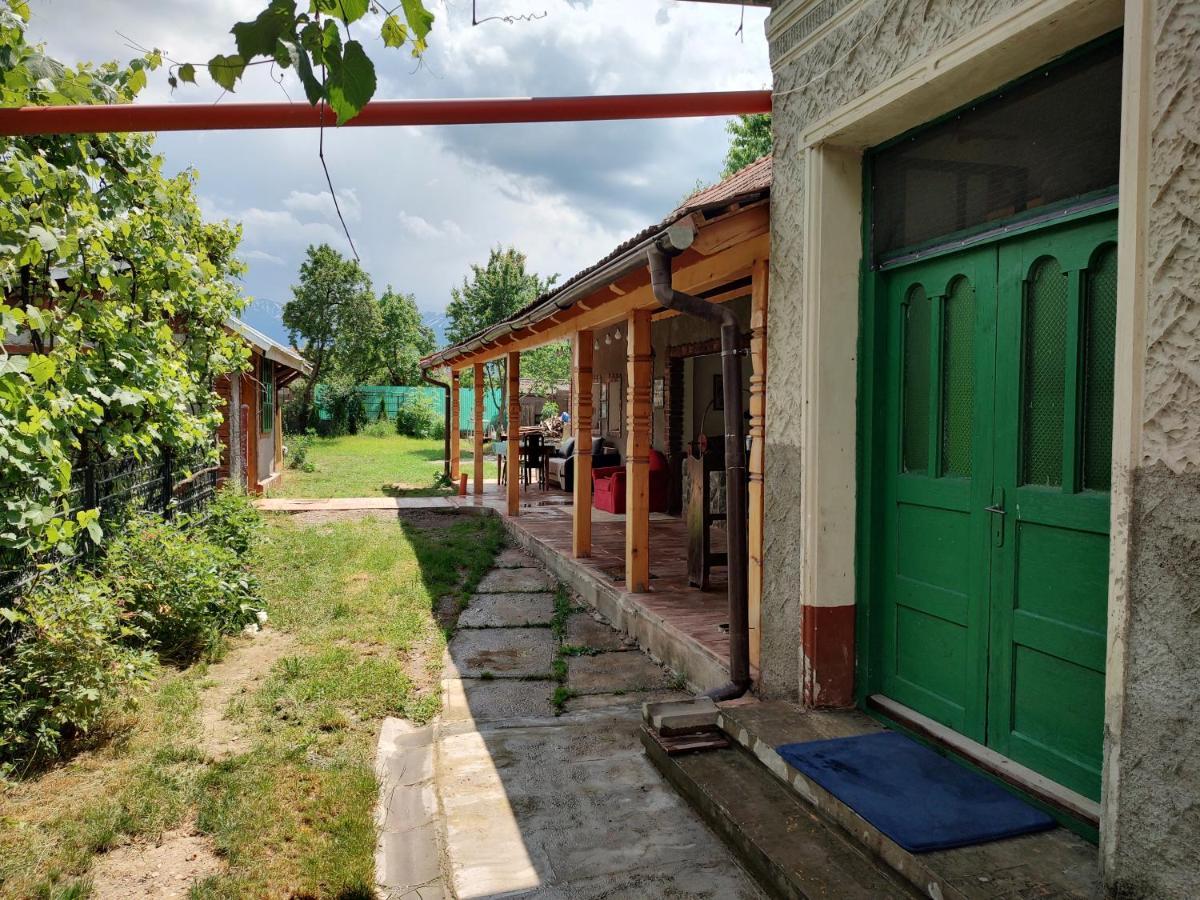 La Tataia Zahei Hotel Dragus Kültér fotó