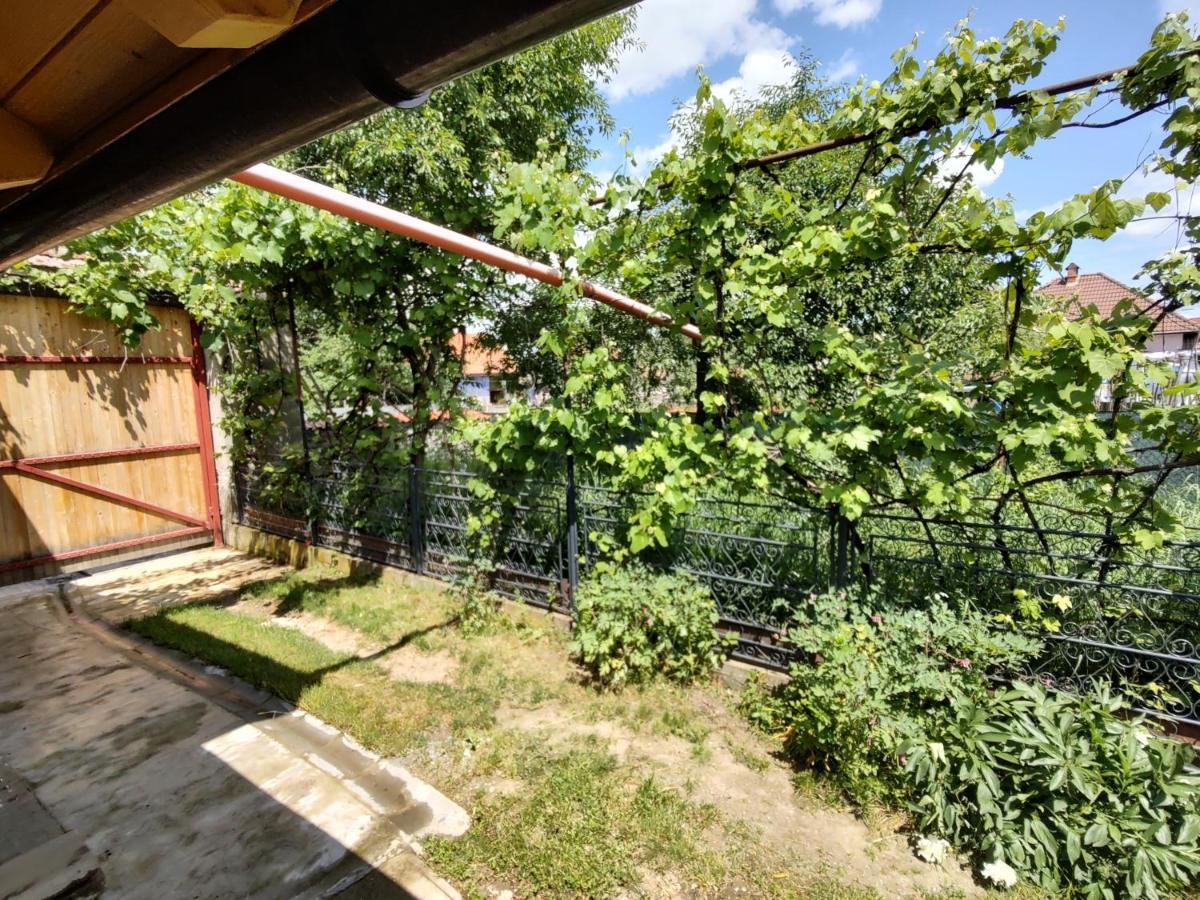 La Tataia Zahei Hotel Dragus Kültér fotó