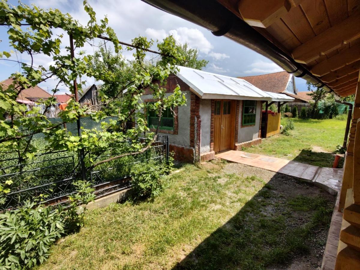 La Tataia Zahei Hotel Dragus Kültér fotó