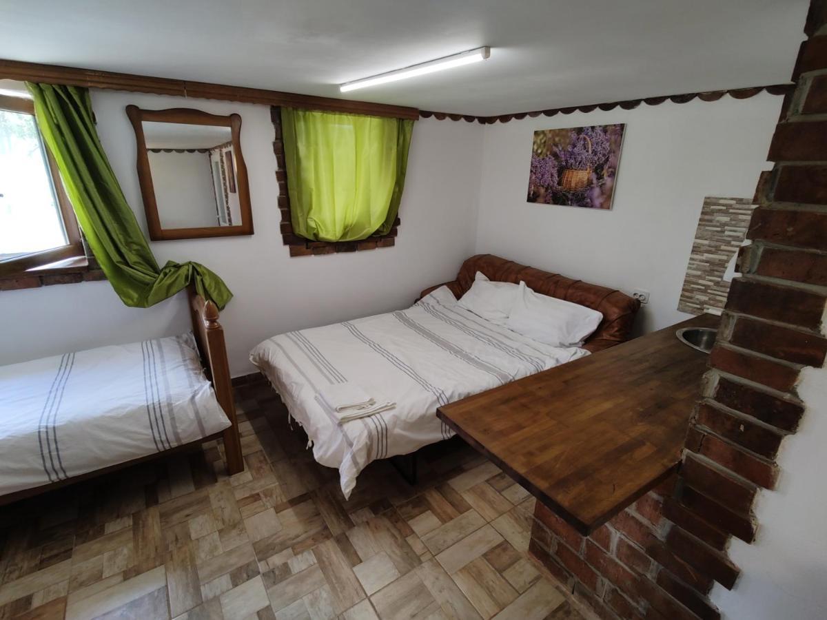 La Tataia Zahei Hotel Dragus Kültér fotó